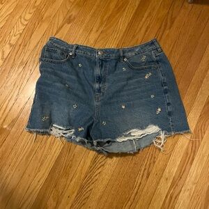 American eagle Embroidered Distressed Denim Shorts - Blue